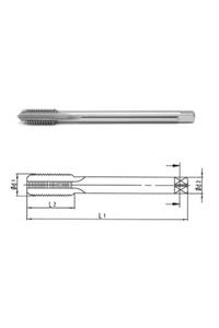 Makina Takım M20x1 Hss-e Din374/c Ince Diş Makina Kılavuzu-mte