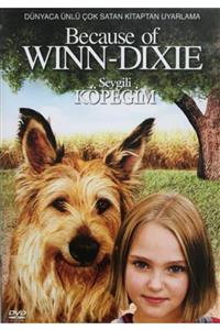 20th Century Fox Because Of Winn Dixie (sevgili Köpeğim) Dvd