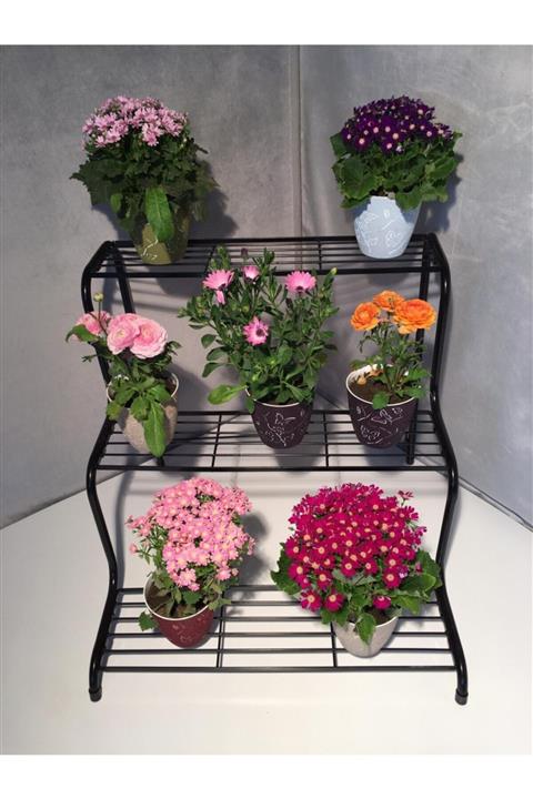 pakelim Metal Merdiven Çiçeklik