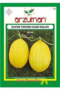 GüçlüTedarik Sarı Kışlık Kavun Tohumu 250 Tohum 10 Gram