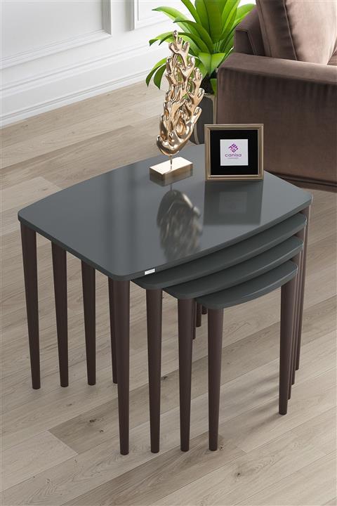 Canisa Concept Telwe Antrasit Mdf Lake Boyalı Ceviz Ayaklı Zigon Sehpa Takımı 4'lü