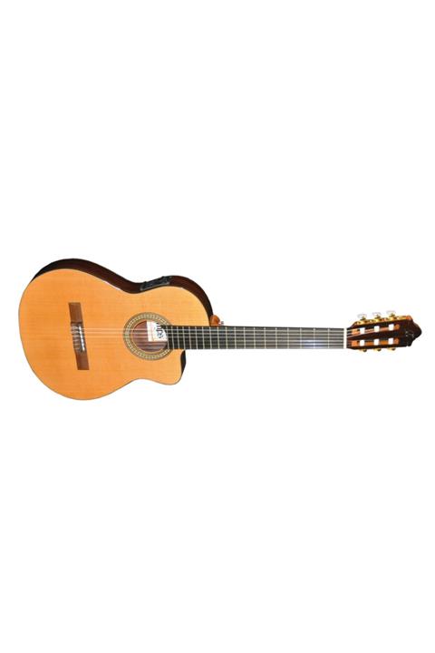 CAMPS Elektro Klasik Gitar Fıshman Pro Blend