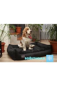 LUVLY PETS X-large Klimalı Soğutuculu Yıkanabilir Köpek Yatağı - Patentli Tay Tüyünden - 100x80