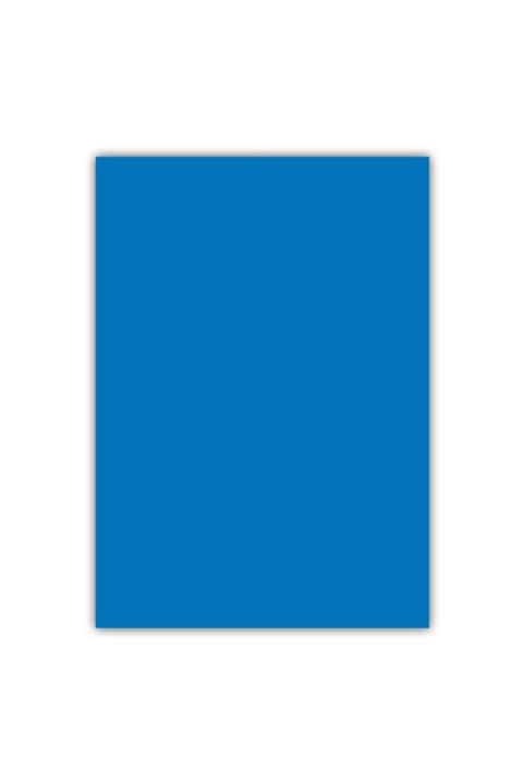 Bigpoint Cılt Kapagı A4 Opak Mavı 100'lu