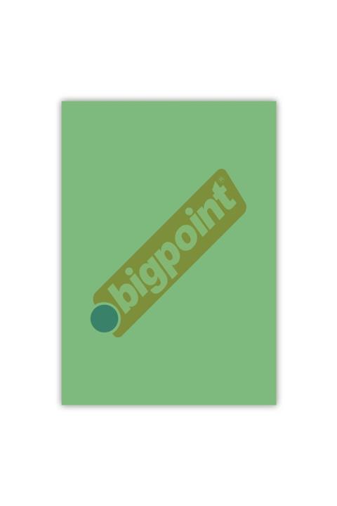 Bigpoint Cılt Kapagı A4 Seffaf Yesıl 100'lu