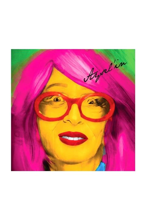 Pal Plak Aysel'in 2lp Aysel Gürel Şarkıları