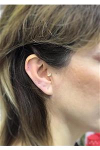 SHESTAKI Cerrahi Çelik Sarı Taşlı Taç Tragus-helix-kulak-kıkırdak Piercing