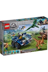 LEGO Unisex Çocuk Jurassic World 75940 Gallimimus And Pteranodon Breakout