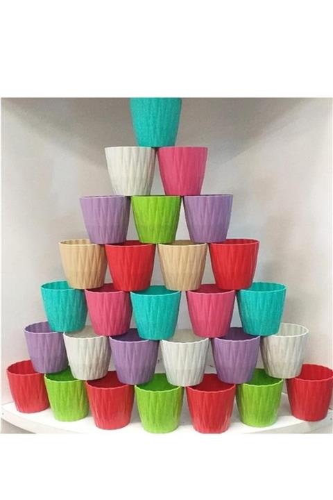 Tvet Kaktüs Ve Sukulent Saksısı 0,6 Litre 10'lu Set