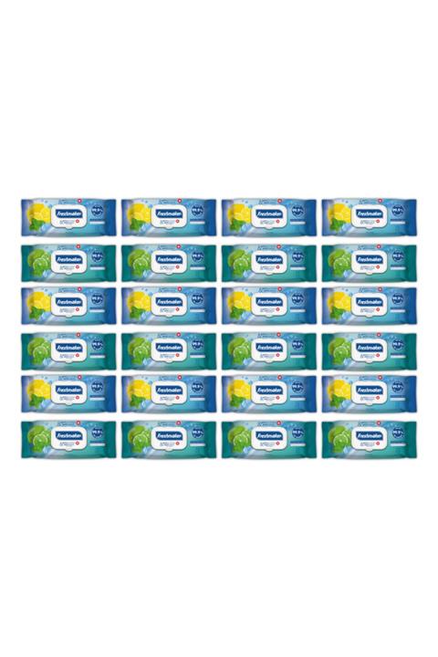 Freshmaker Antibakteriyel Islak Havlu 72'li 24 Adet