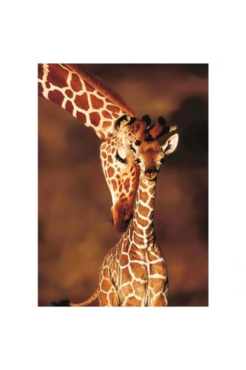 Ks Games Çocuk Stunning Giraffes Yapboz 100 Parça