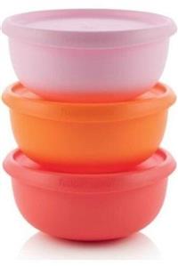 Tupperware Yonca Kase 550 Ml 3'lü Set