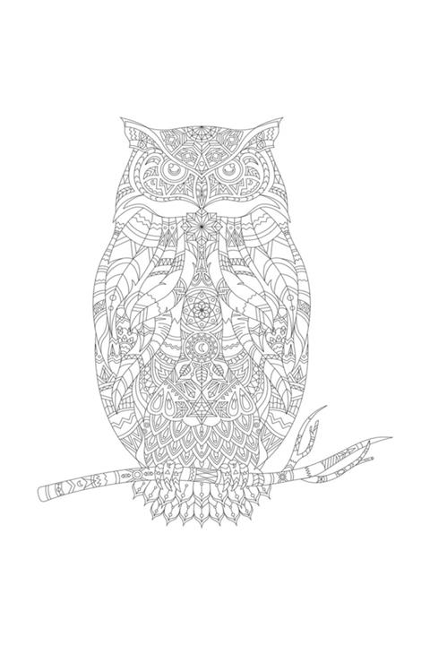 Artdeco Hayvanlar 40x50 Cm Baykuş Desenli Tuval Lv-y-100-p40.03