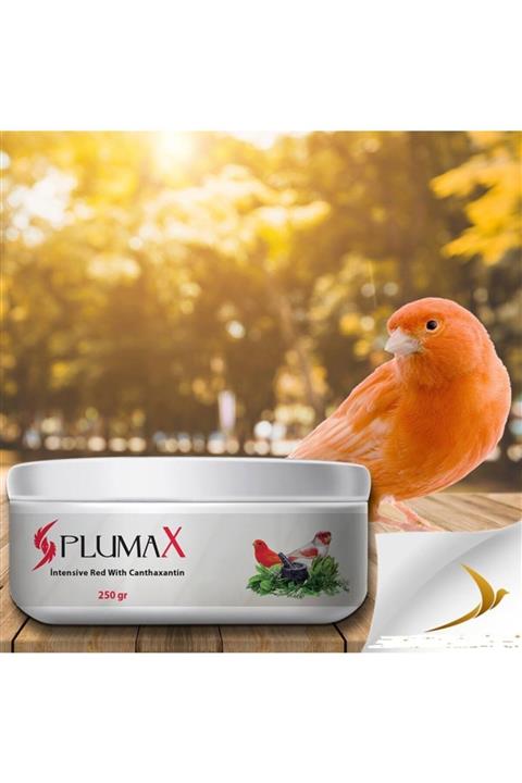 Rio Professional Tüm Kuşlar Için C Ve K Vitamini Toz 250 Gr