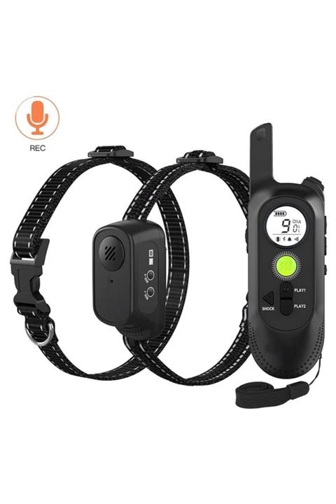 Zigver Köpek Tasması