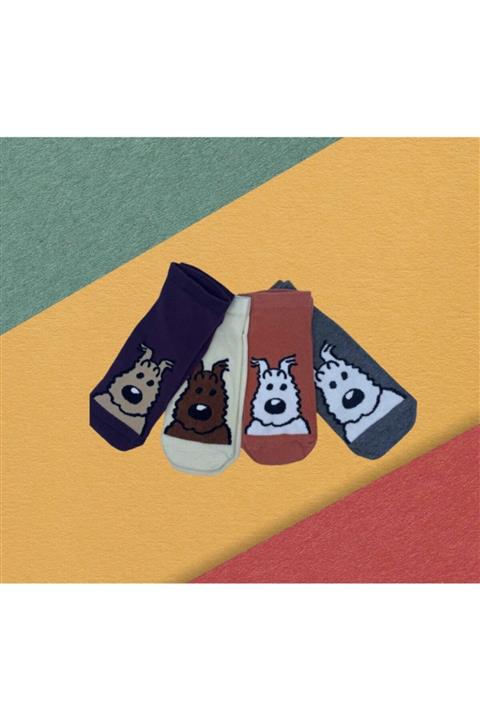 mona çorap 4 Lü Unisex Köpek Desenli Patik Çorap
