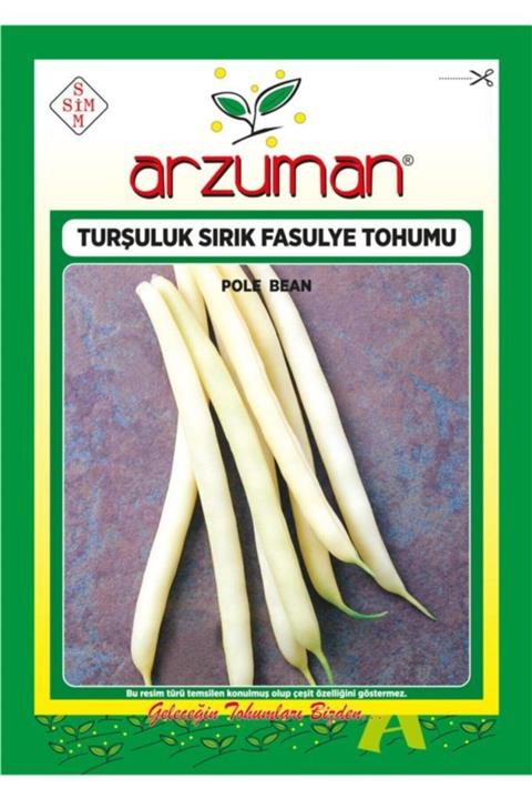 GüçlüTedarik Hanımteni (turşuluk) Sırık Fasülye Tohumu 100 Tohum 50 Gram