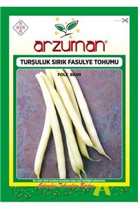 GüçlüTedarik Hanımteni (turşuluk) Sırık Fasülye Tohumu 100 Tohum 50 Gram