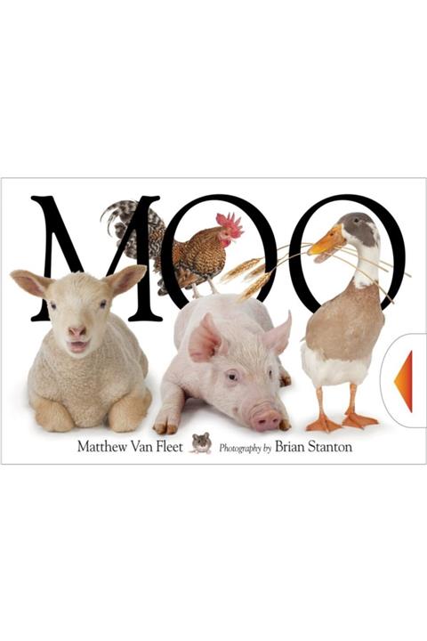 Simon Schuster Animal Trio: Moo