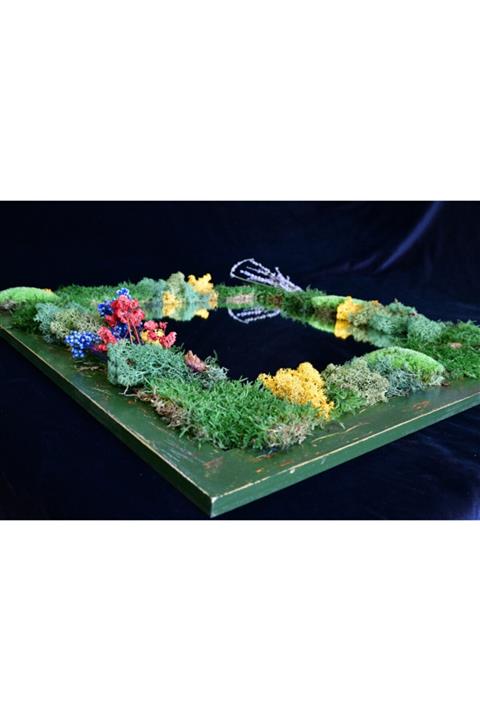 Yosunev Yosun Ve Epoksili Canlı Ayna