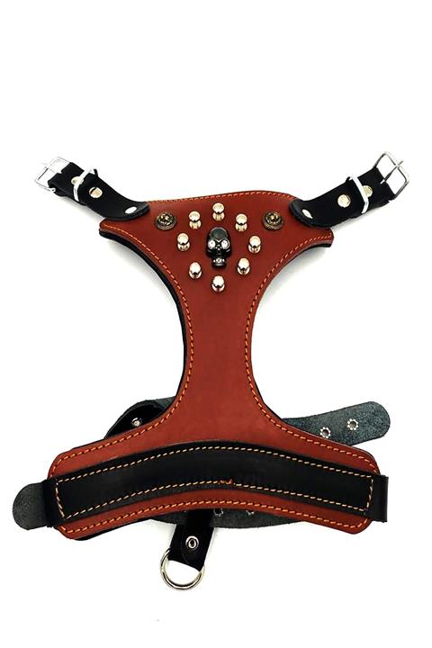 Tasma Market Kuru Kafalı Özel Deri Tasarım Köpek Göğüs Tasması