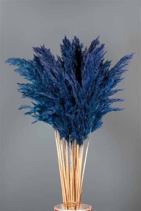 Goya Home Şoklanmış Mavi Renkli Pampas Otu Demeti 15'li