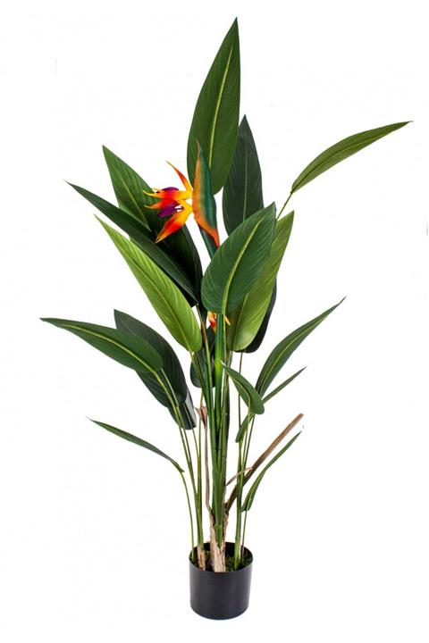 Euro Flora Saksıda Yapay Bitki Strelıtzıa 155 Cm