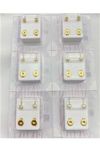 elittrendshop Steril Kulak Delme Küpesi 6 Çift Nina Crystal Cerrahi Çelik Küpe Altın Renk Günlük Kullanıma Uygun