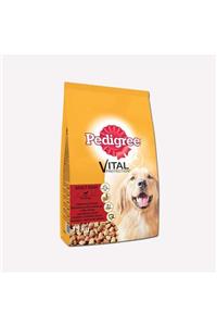 Pedigree Yetişkin Biftek Ve Tavuklu Kuru Köpek Maması 15 kg