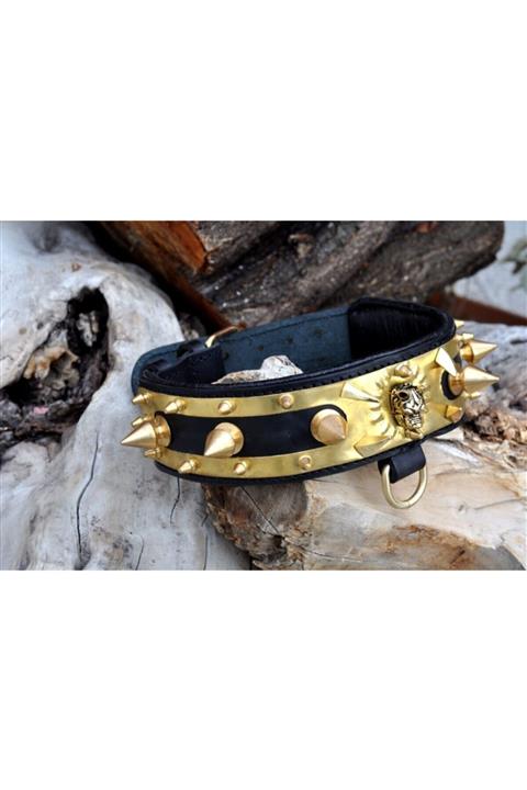 A&C COLLARS Köpek Tasması