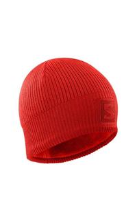 Salomon Logo Beanie Bere