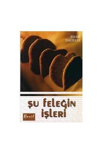 Beril Yayınları Şu Feleğin Işleri - Şinasi Eskikaya