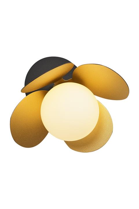 Özcan Aydınlatma 3120-apl-19 Papatya Aplik Siyah