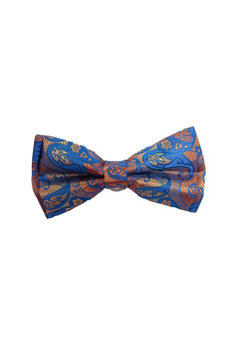 ROMASTER Erkek Renkli Çiçek Desenli Papyon