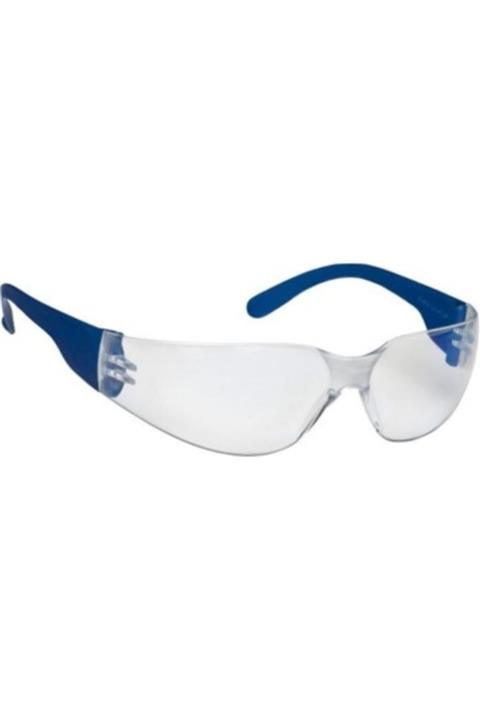 VİOLA VALENTA Koruyucu Gözlük ( Mavi Kenarlı Şeffaf)-2 Adet