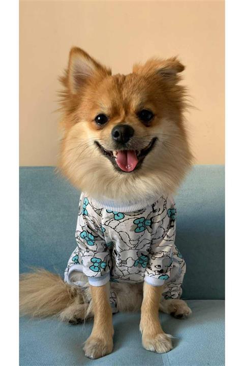 Zeyşil Pati Giyim Sevimli Köpek Kedi Köpek Tulumu