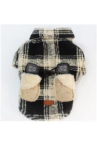 Pawstar Plaid Coat Ceket