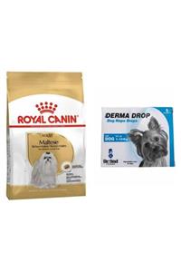 Royal Canin Maltese Terrier Yetişkin Köpek Maması 1,5 kg + Derma Drop 5*1 ml