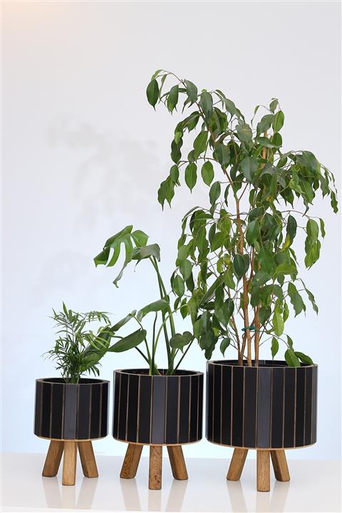 Hakan Mobilya Siyah Ahşap Ayaklı 3'lü Yuvarlak Saksı Standı Seti Dekoratif Çiçeklik Balkon Bahçe Ahşap Saksılık