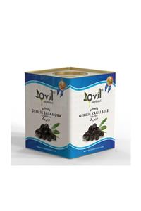 OVİL Siyah Zeytin Gemlik Tipi Yağlı Sele 291-320 10 Kg