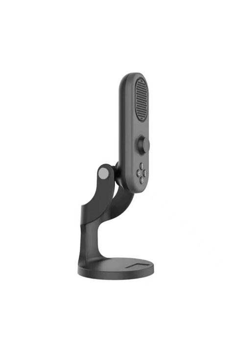 Ehr. M1 Yerleşik Type-c Girişli Stüdyo Mikrofonu