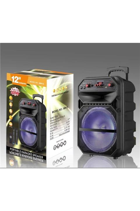 Butfulake Taşınabilir Bluetooth Kablosuz Hoparlör - Karaoke Toplantı Konser Anfisi- Aux Çift Mikrofonlu