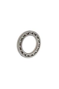 ORS 16008 Rulman