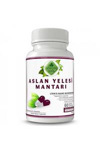 Gökçek Şifa Aslan Yelesi Kapsül - 60 Kapsül X 1000mg