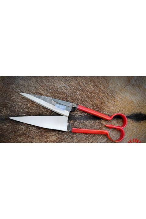 Akgün Koyun Kırklığı