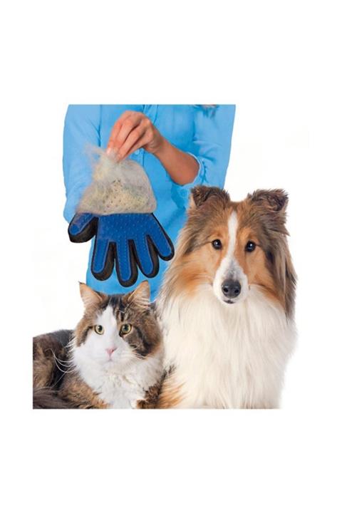 Welfare Tüy Toplama Eldiveni