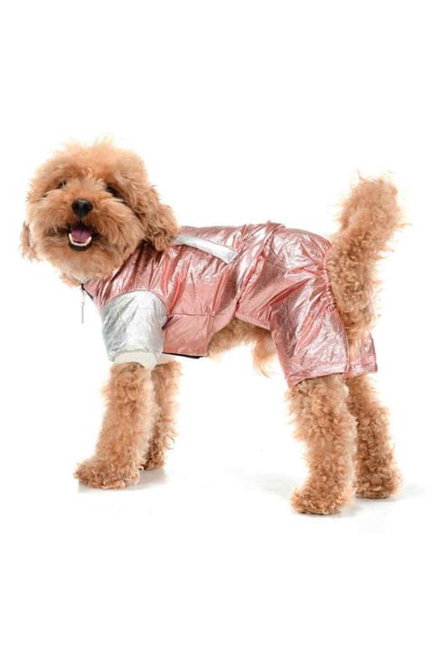 Petza Küçük Ve Orta Irk Köpek Paçalı Mont Norna