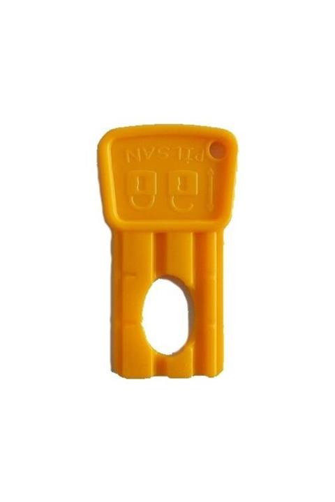 PİLSAN 4 Adet Akülü Araba Kartlı Kontak Anahtar-sarı