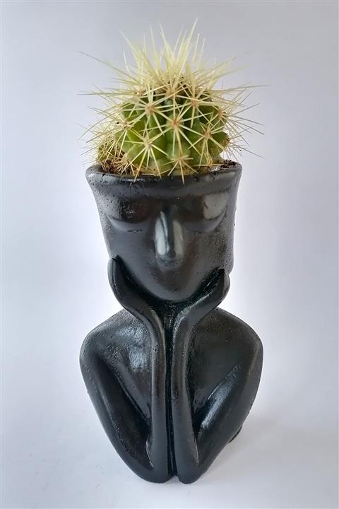 Menezia Düşünen Insan Beton Saksı Içinde Kaktüs