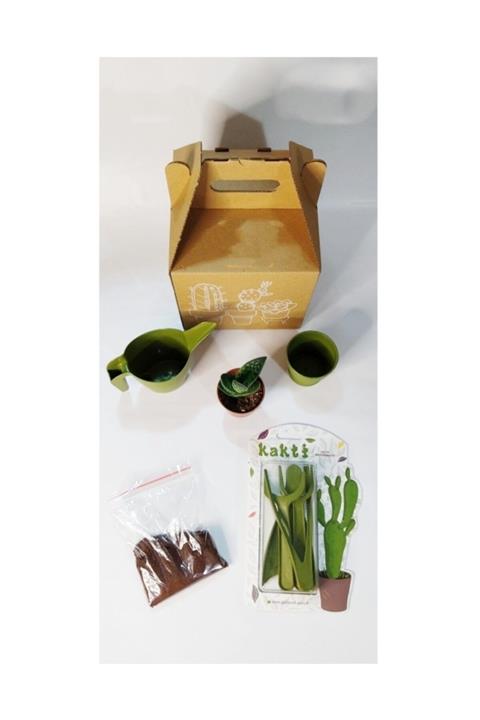 Hops Plant Design Kaktüs-sukulent Dikim Seti-yeşil